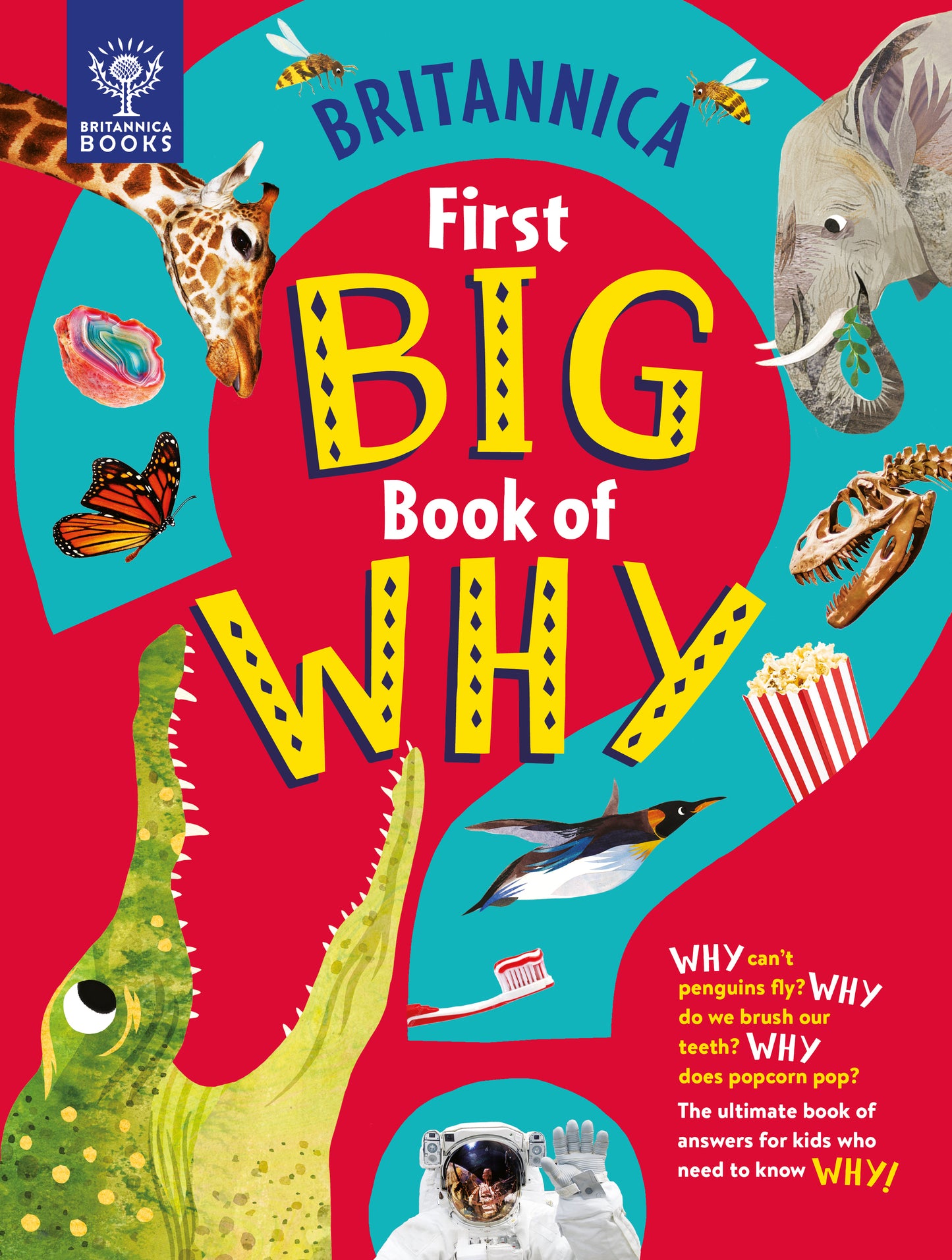 First Big Book of Why