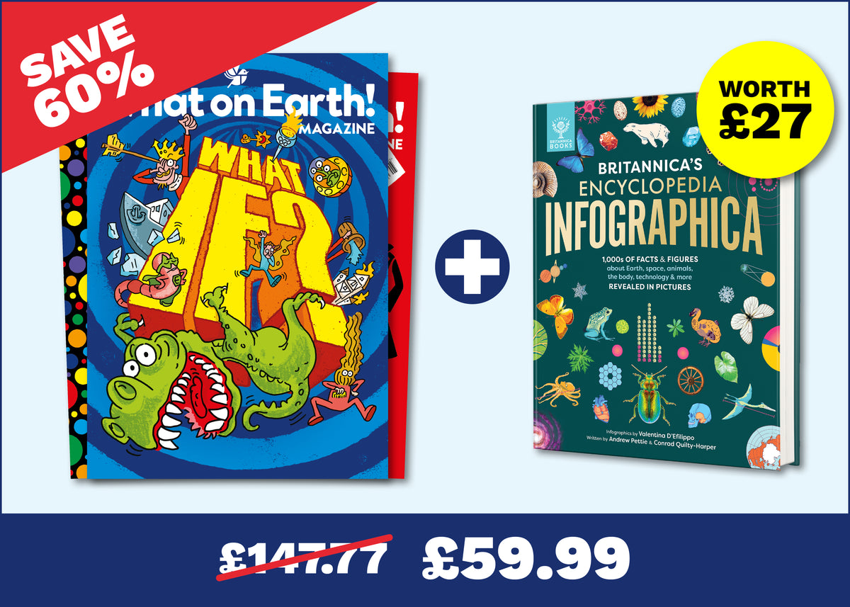 12 Months + Britannica Encyclopedia