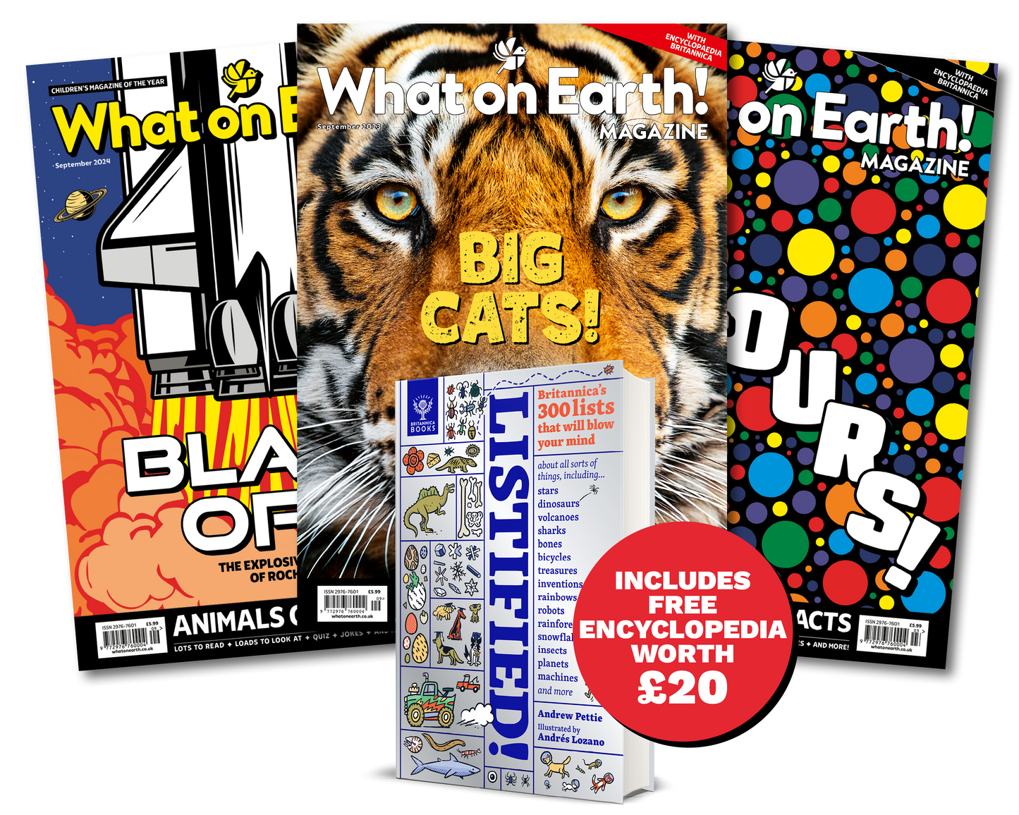12-Month Subscription