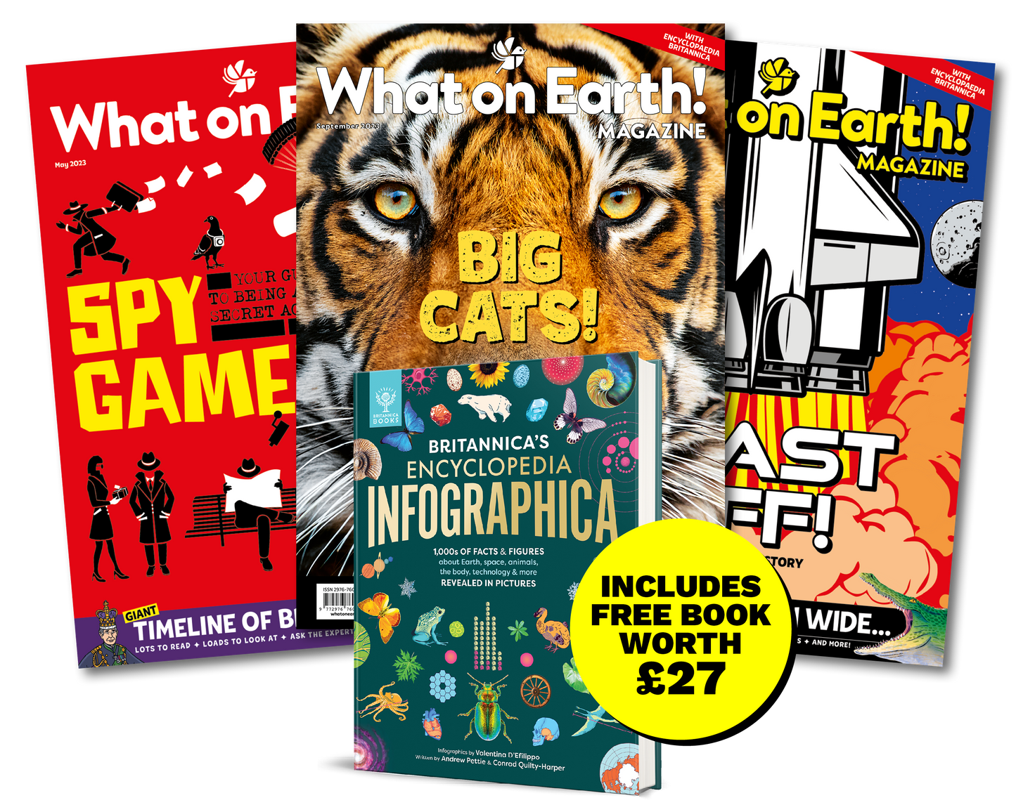 12-Month Subscription