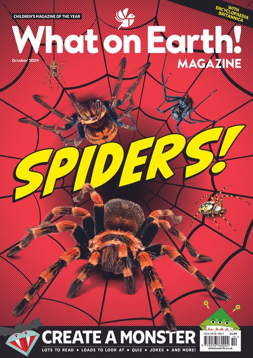 October 2024