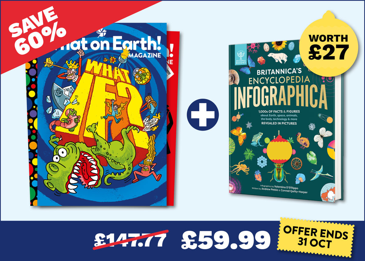12 Months + Britannica Encyclopedia