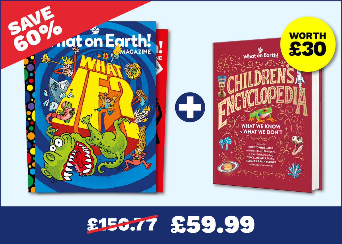 12 Months + Children's Encyclopedia