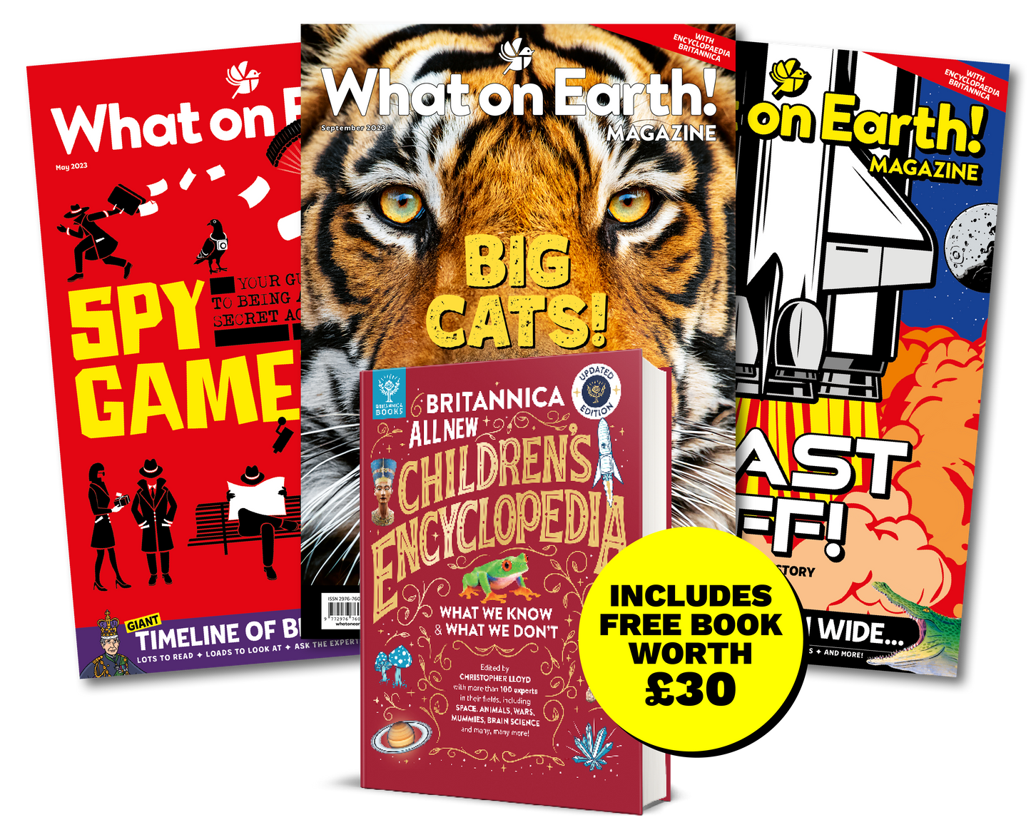 12-Month Subscription