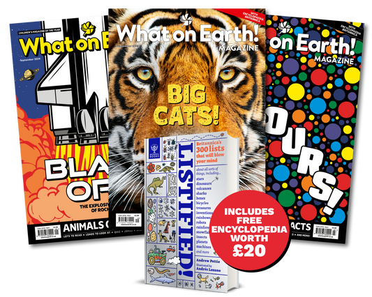 12-Month Subscription