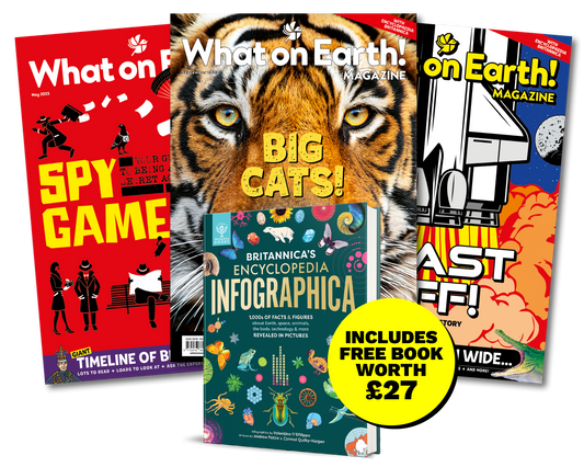 12-Month Subscription