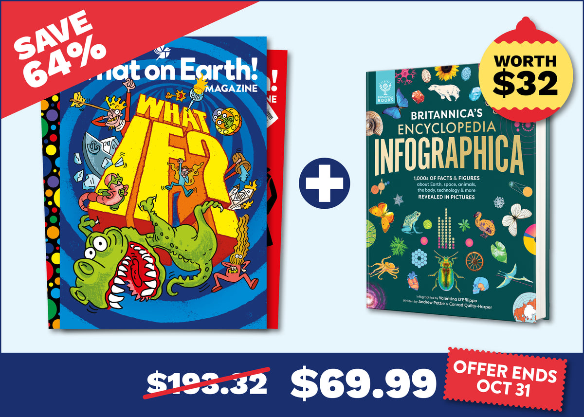 12 Months + Britannica Encyclopedia