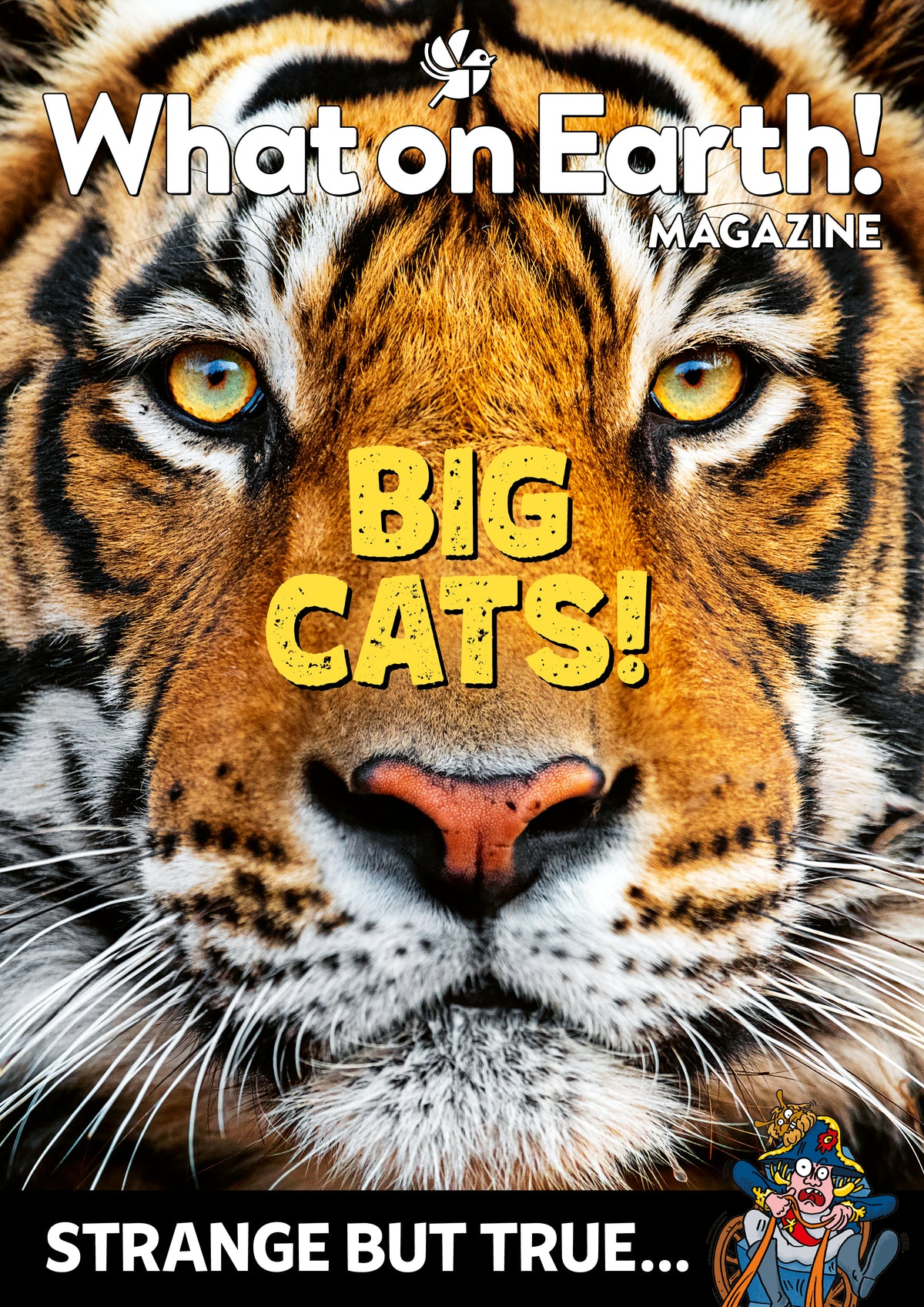 What on Earth! Magazine Subscription (3 Months)